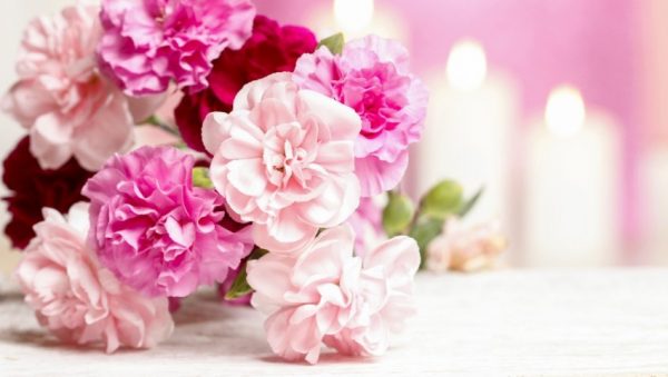Gợi ý hoa tặng cung Bảo Bình phù hợp và ý nghĩa nhất