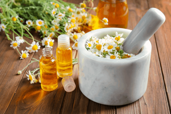 Tác dụng của tinh dầu hoa cúc đối với sức khoẻ và sắc đẹp